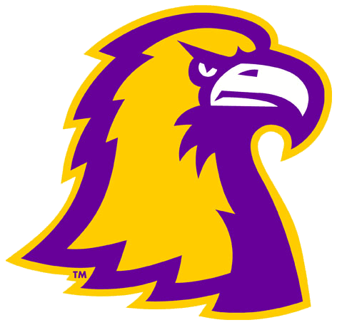 Tennessee Tech Golden Eagles 2006-Pres Alternate Logo v4 iron on transfers for fabric